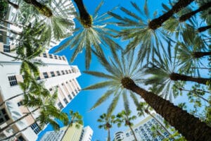 South Florida Real Estate Dream